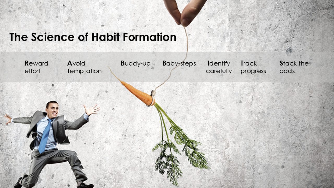 Science of Habit Formation | Crazy Might Work